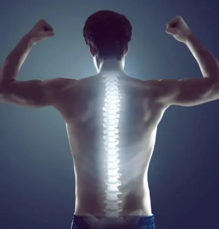 chiropractic treatment sunnyvale