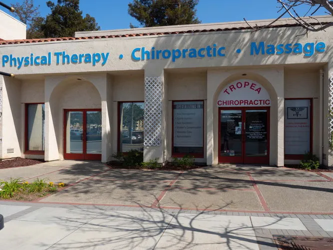 best chiropractic Clinic Sunnyvale
