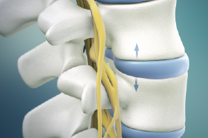 best chiropractic sunnyvale